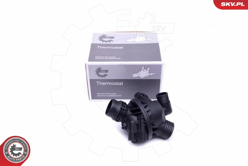 Thermostat, coolant